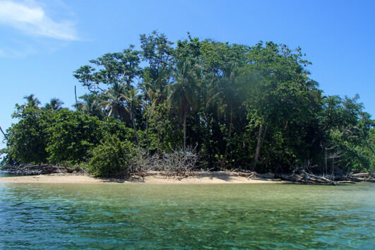 Cahuita Snorkeling & Rainforest Hike - Exploradores Outdoors Costa Rica