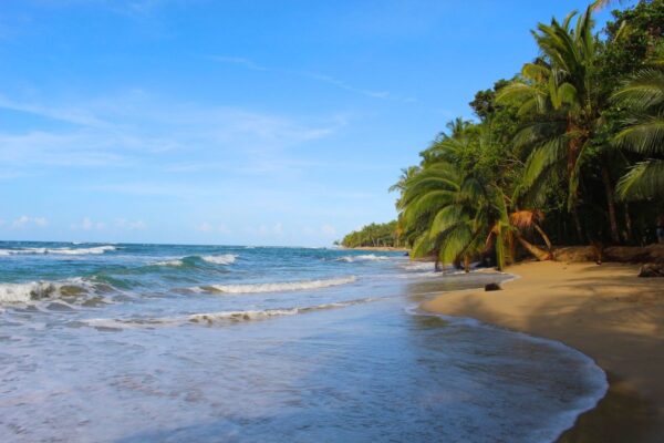 Pacuare 1-day trip - Exploradores Outdoors Costa Rica